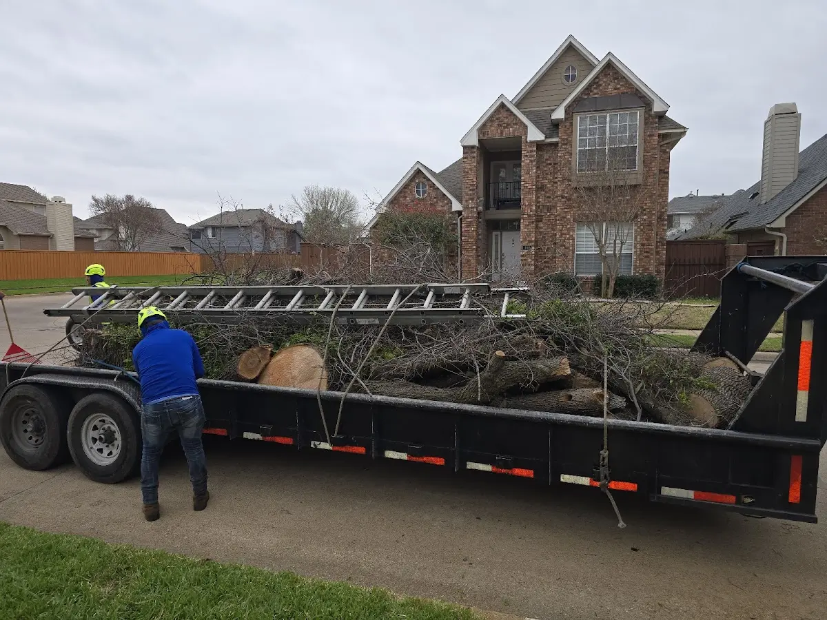 Expert Tree Pest Control with proper safety equipment in Barre